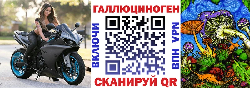 Галлюциногенные грибы GOLDEN TEACHER  Купить где  Волоколамск 
